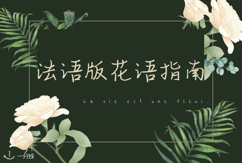 法语版花语指南 | 你送的花是什么花语你知道吗?