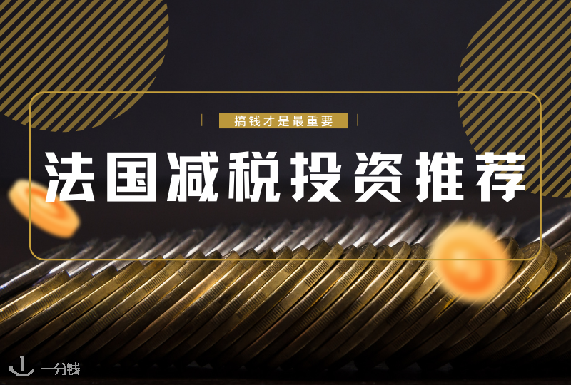 法国减税投资推荐｜哪种投资你所得最多？减免税投资有哪些？
