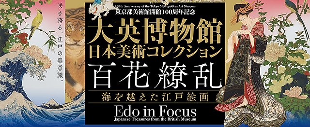 江户绘画合集《百花缭乱:大英博物馆藏江户绘画展》:日本美学与国际交流的盛宴