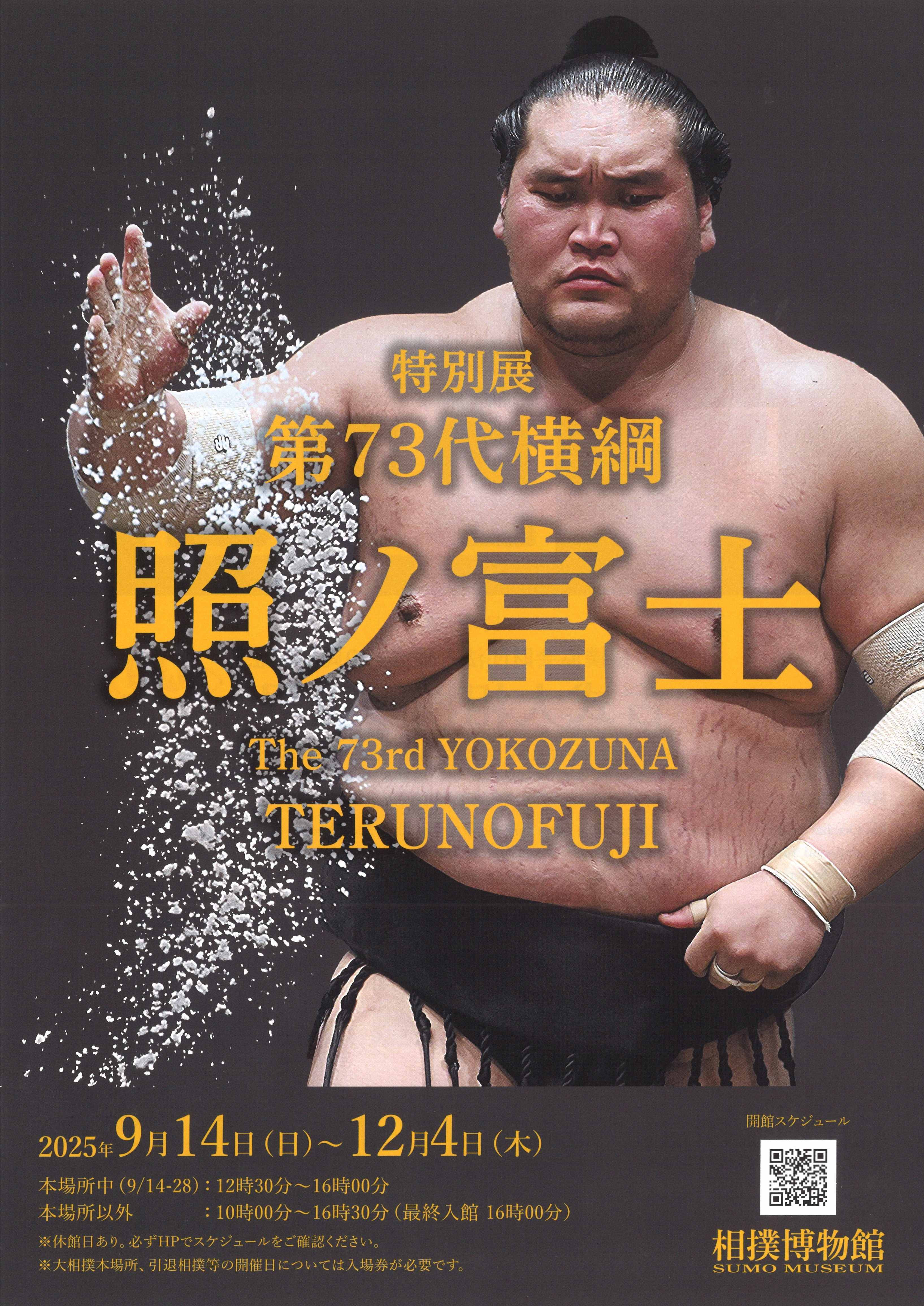 照ノ富士|第73代横纲特别展:传奇横纲的不屈人生