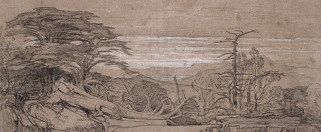 地中海风景画|《雪松,地中海山顶的绿色王冠》:19世纪画家笔下的绿色传奇