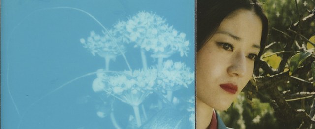 荒木经惟《POLARAKI：一千张宝丽来照片》：用影像写日记，窥见生命的偶然与诗意