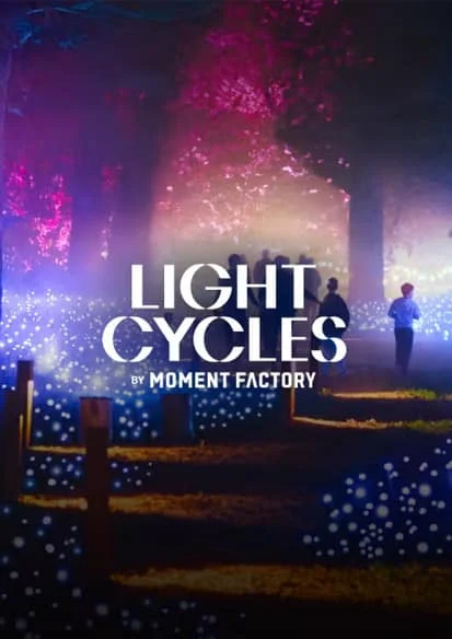 Light Cycles：夜幕下的光影奇境体验