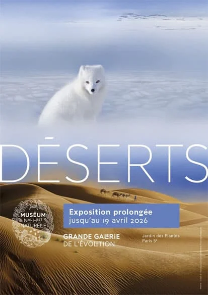 极端环境生态合集《Déserts》：探索沙漠与极地的生命奇迹
