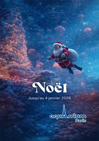海洋生物与亲子互动合集《Aquarium de Paris》:沉浸式海底世界,探索巴黎最美水族馆